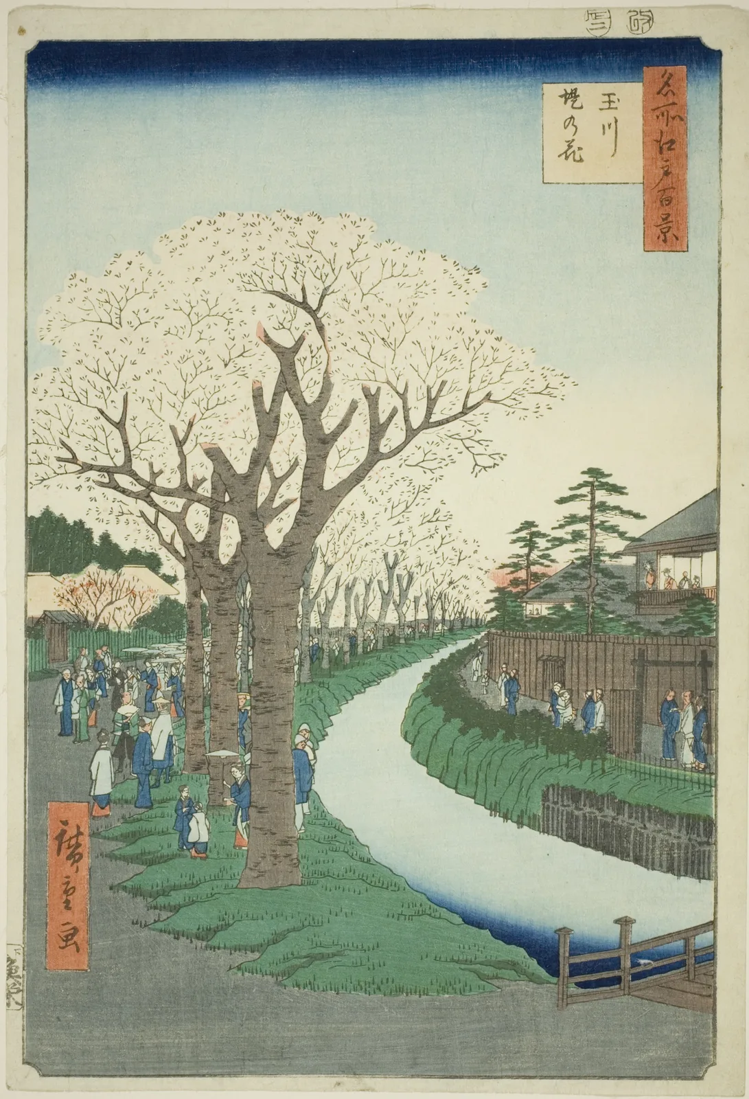 名所江戸百景 玉川堤の花