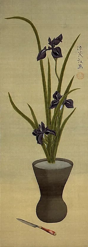 燕子花にナイフ図